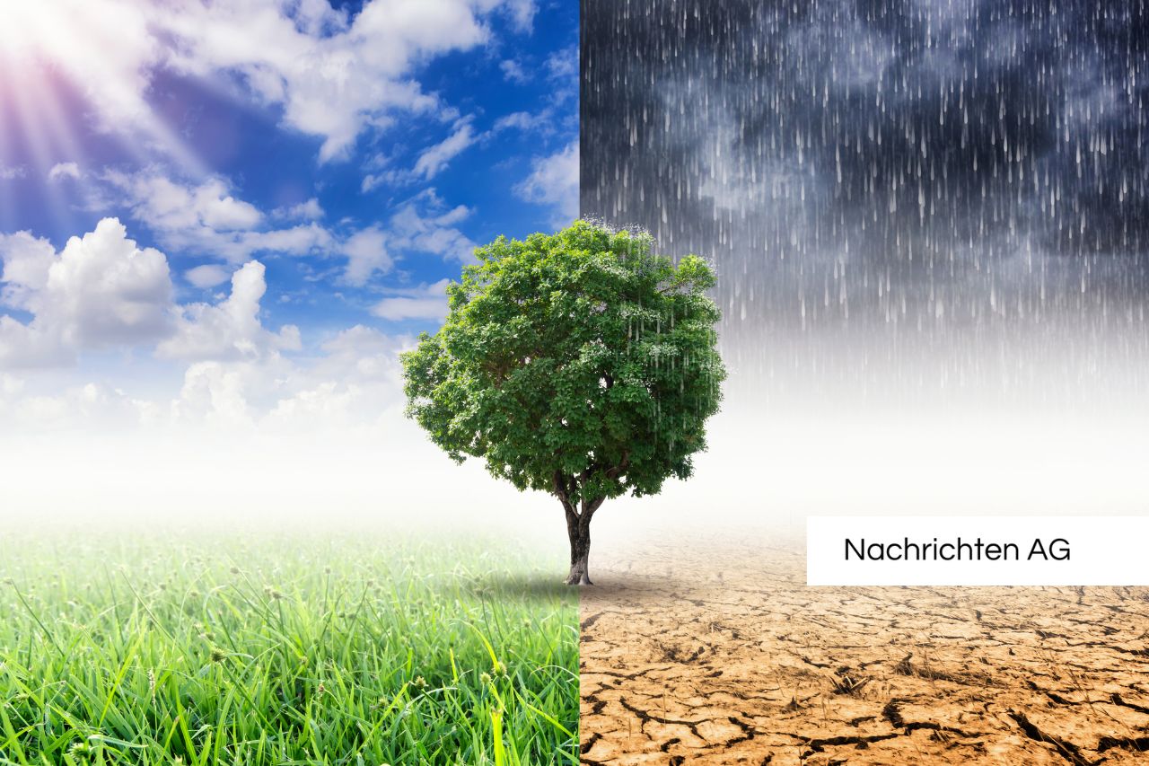 Klimafest im Volkspark: Mach mit für unseren Planeten am 5. Juli!