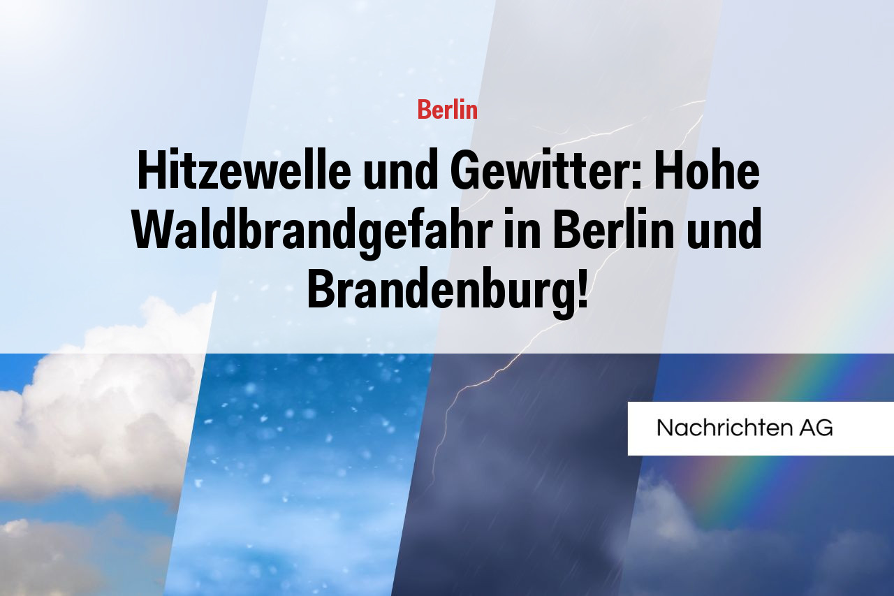 Hitzewelle und Gewitter: Hohe Waldbrandgefahr in Berlin und Brandenburg!