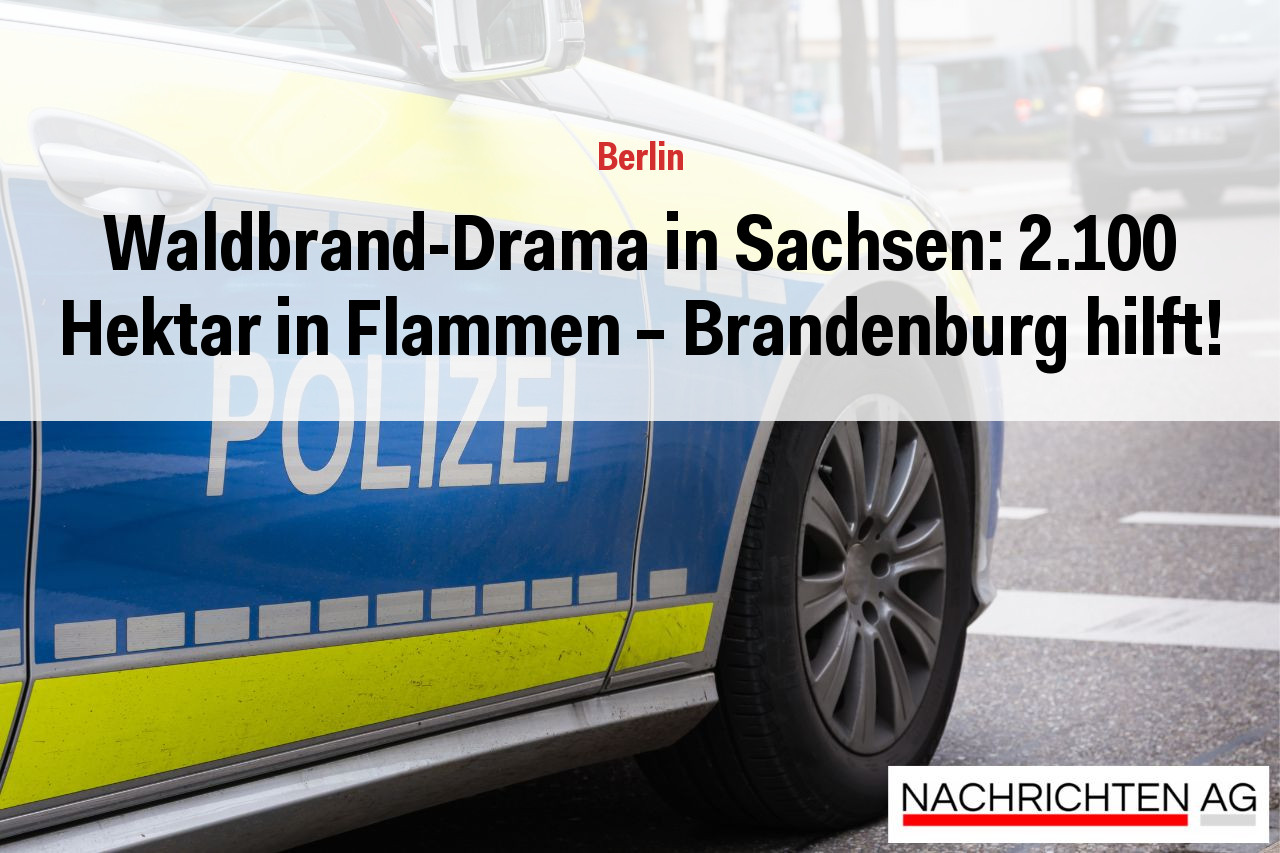 Waldbrand-Drama in Sachsen: 2.100 Hektar in Flammen – Brandenburg hilft!