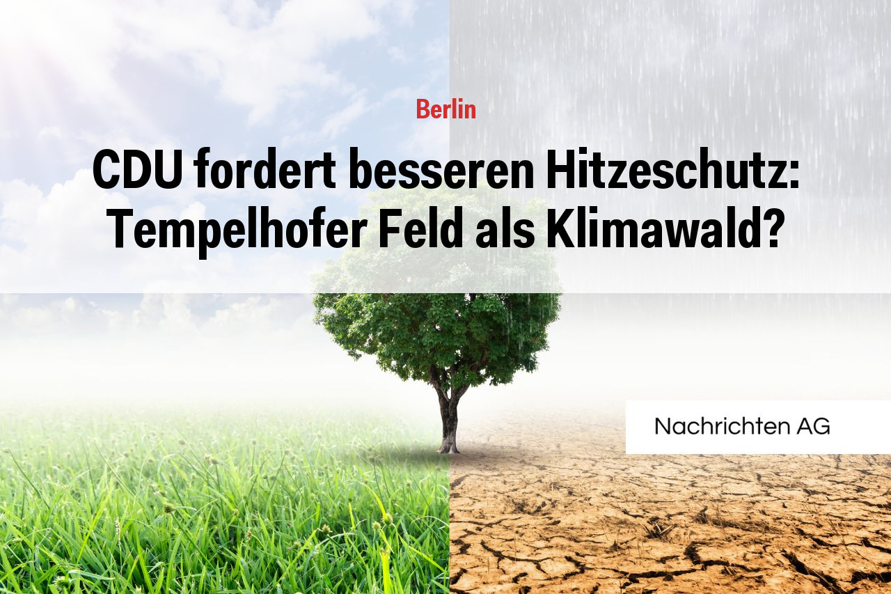 CDU fordert besseren Hitzeschutz: Tempelhofer Feld als Klimawald?