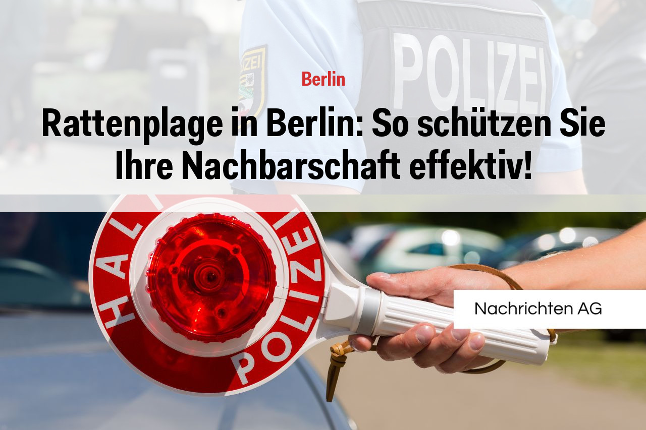 Rattenplage in Berlin: So schützen Sie Ihre Nachbarschaft effektiv!